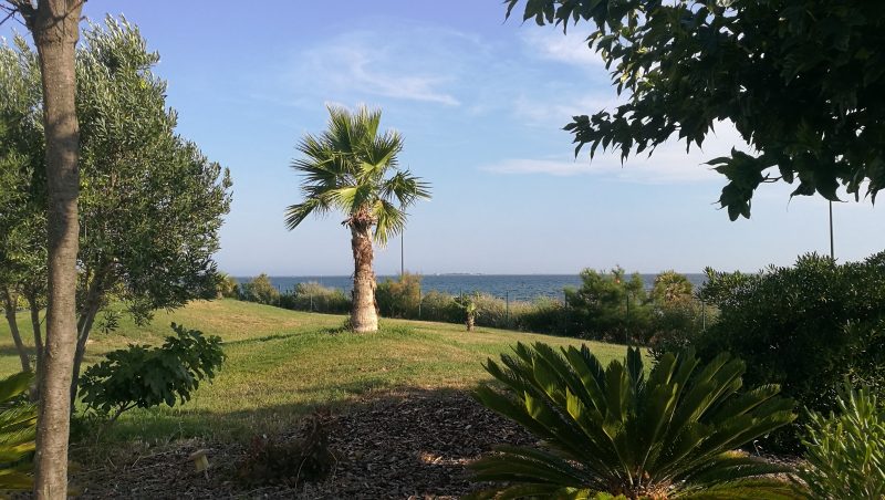 Jardin arboré